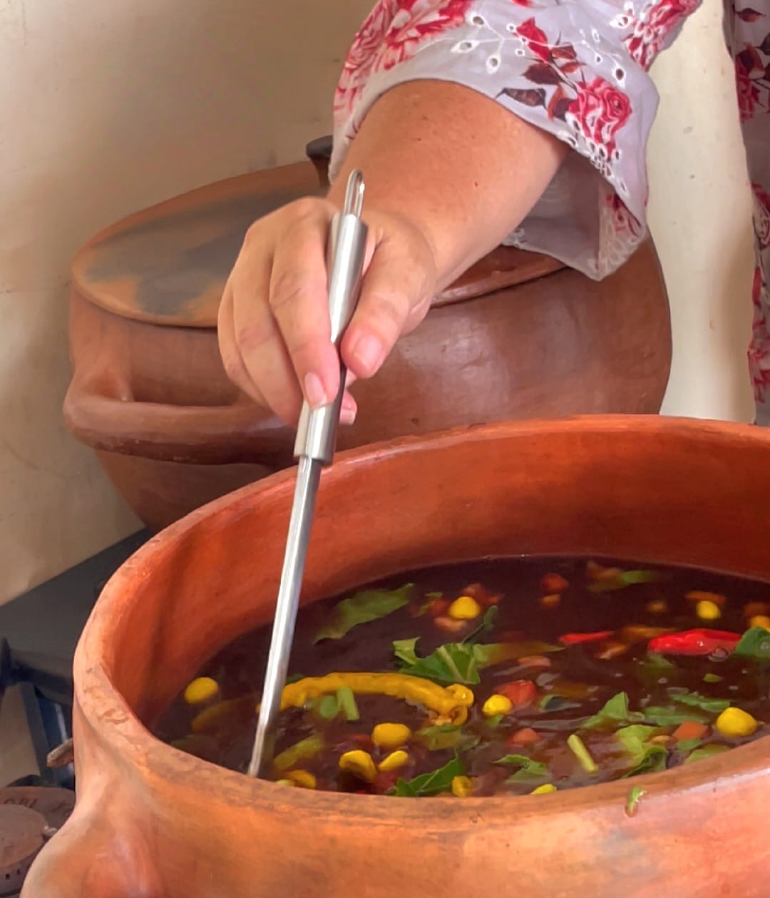 Culinária diversificada é destaque no São João no Parque Anauá